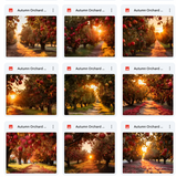 Ultimate Autumn Orchard Background Bundle