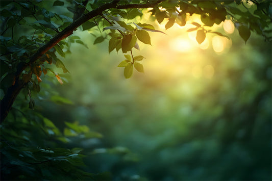 The Composite Vault: Patience