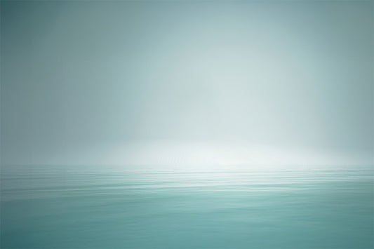 The Composite Vault: Nessy