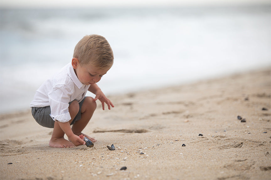 Beach Boy - Meg Bitton Productions