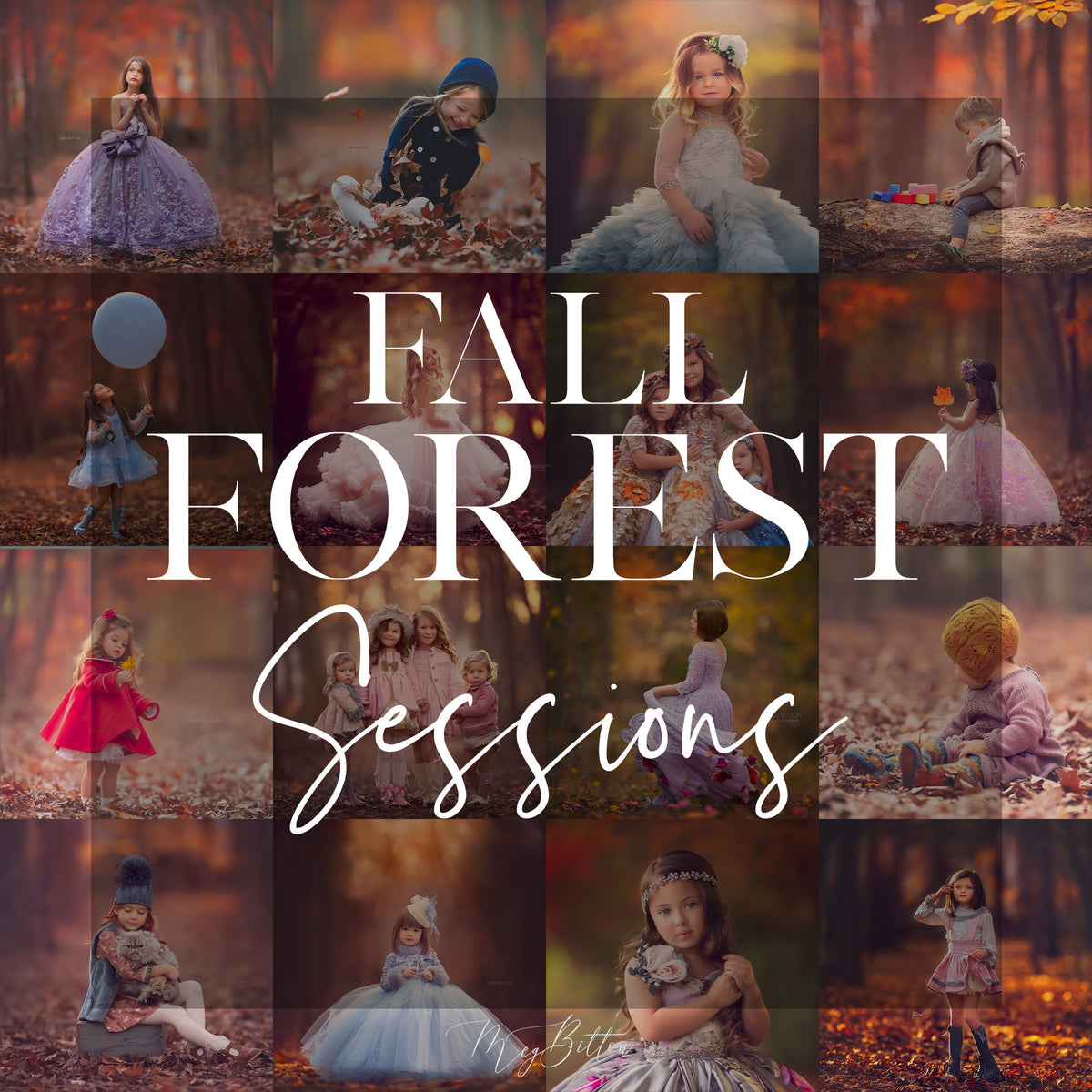 Fall Forest Sessions