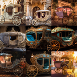 Fairytale Carriage Digital Background Bundle - Meg Bitton Productions