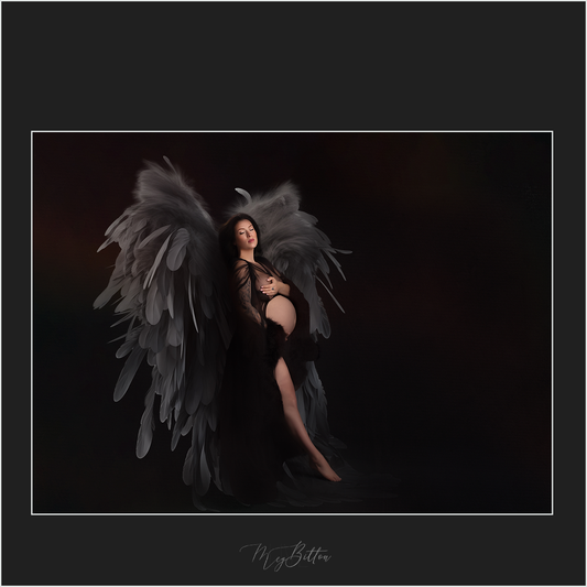 Elegant Black Feathered Wing Overlays