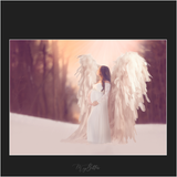 Magical Elegant Cream Feathered Wings - Meg Bitton Productions