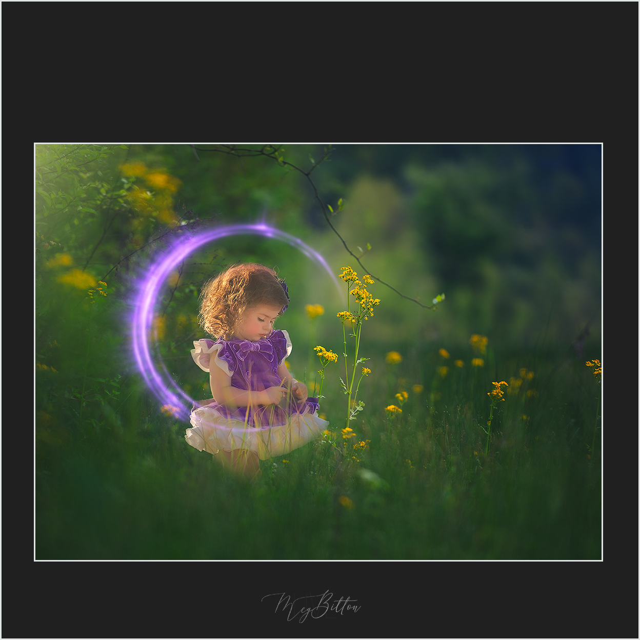 Magical Fairytale Ring Flares - Meg Bitton Productions