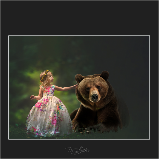 Magical Digital Overlays: Grizzly Bears - Meg Bitton Productions