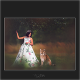 Magical Digital Overlays: Lynxes - Meg Bitton Productions