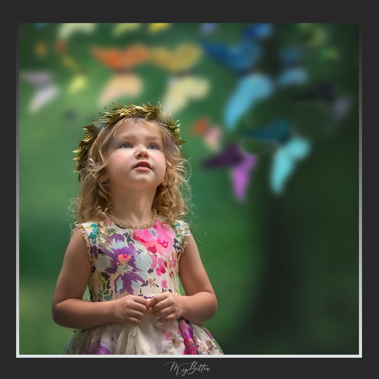 Magical Shoot Through - Color Rainbow Butterflies