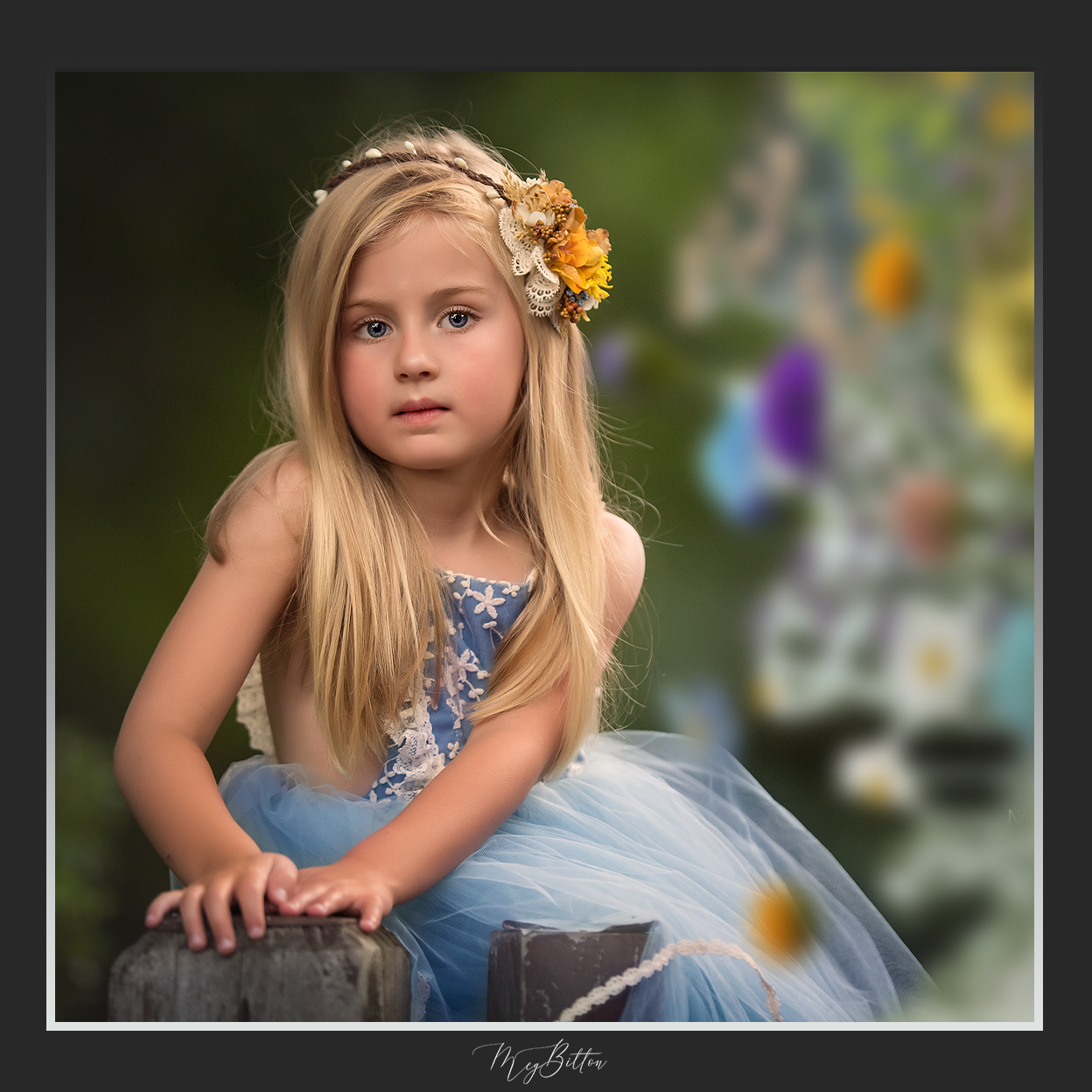 Magical Shoot Through - Rainbow Wildflowers Window Flowerbox - Meg Bitton Productions