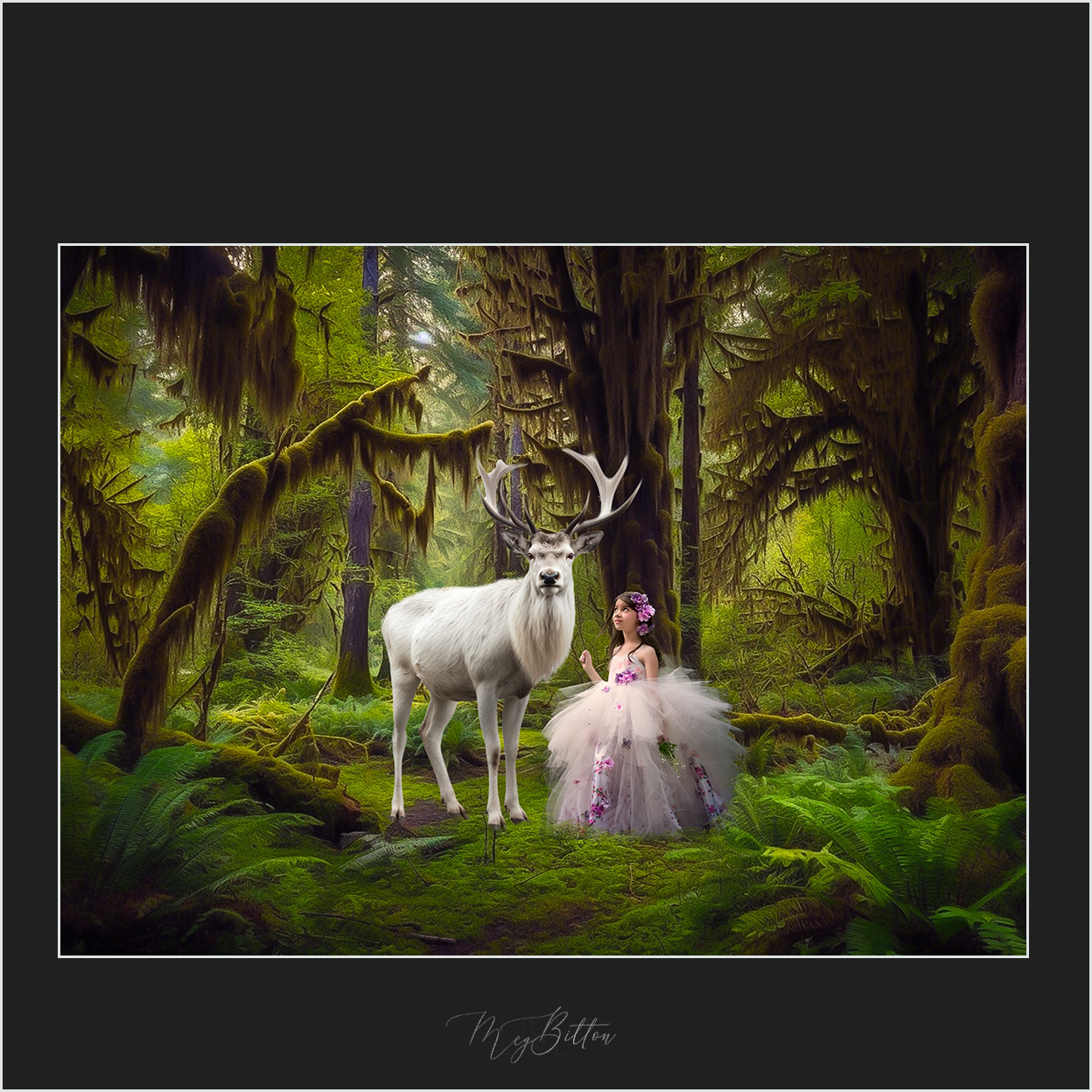 Magical Digital Overlays: Stags - Meg Bitton Productions
