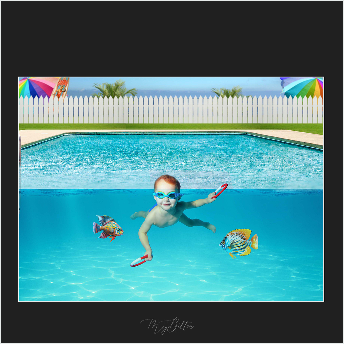 Magical Digital Overlays: Summer Fish - Meg Bitton Productions