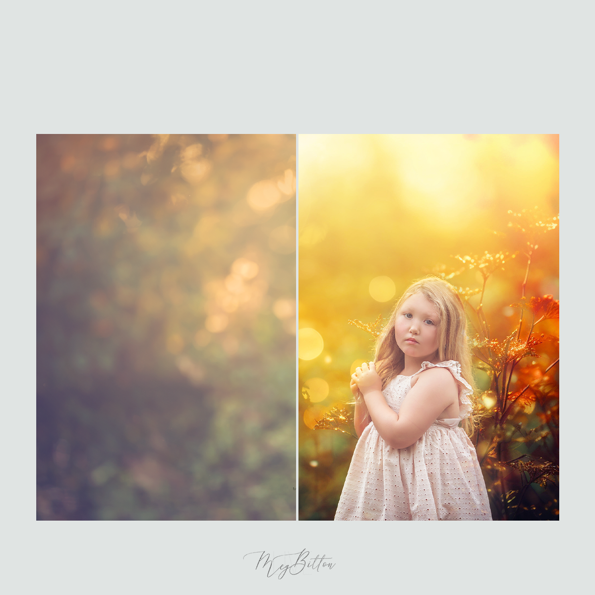 Magical Golden Bokeh Textures - Meg Bitton Productions