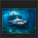 Magical Digital Overlays: Underwater Creatures - Meg Bitton Productions