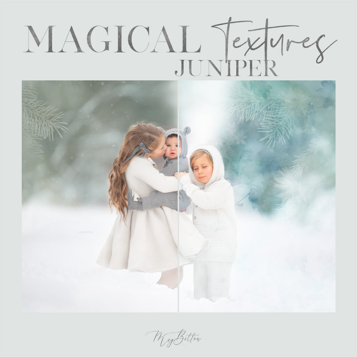 Magical Juniper Textures - Meg Bitton Productions