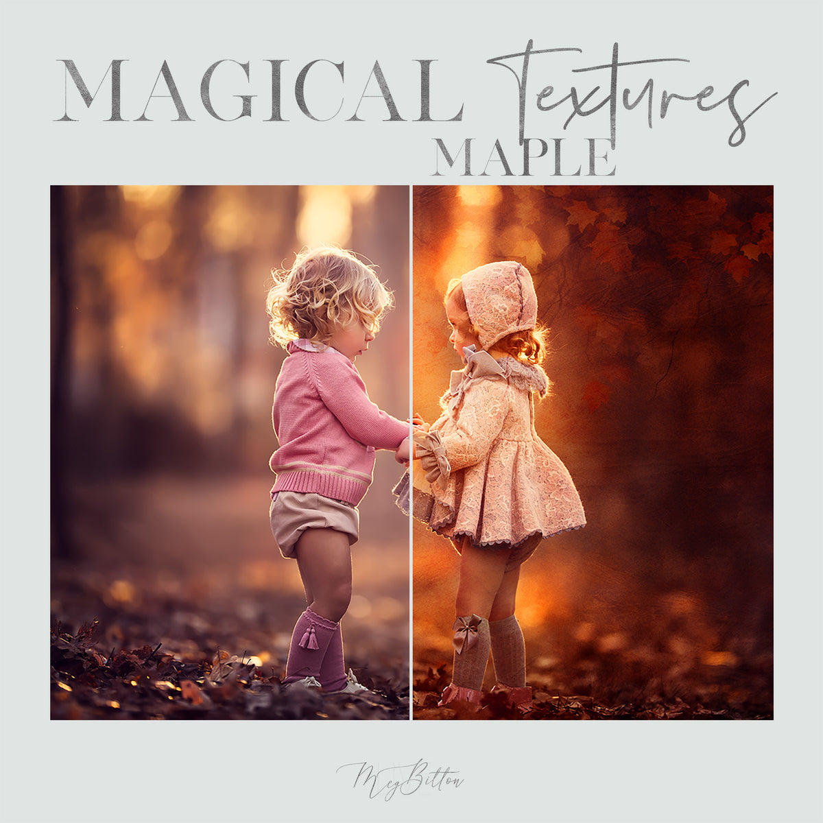 Magical Maple Textures - Meg Bitton Productions