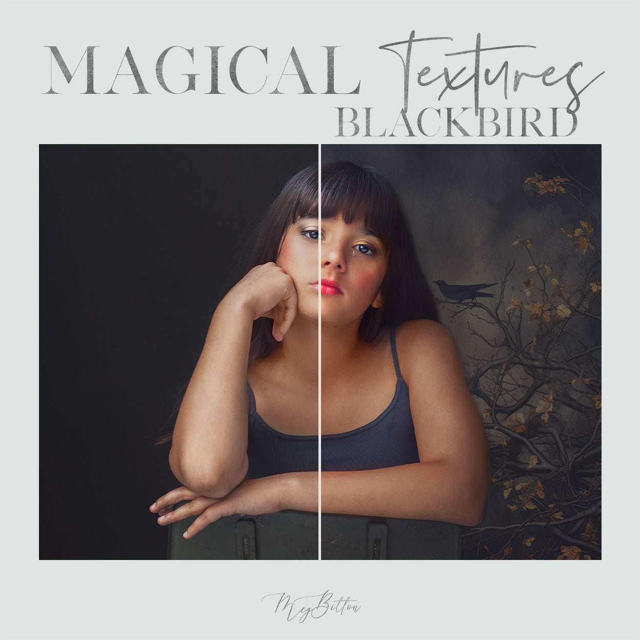 Magical Blackbird Textures