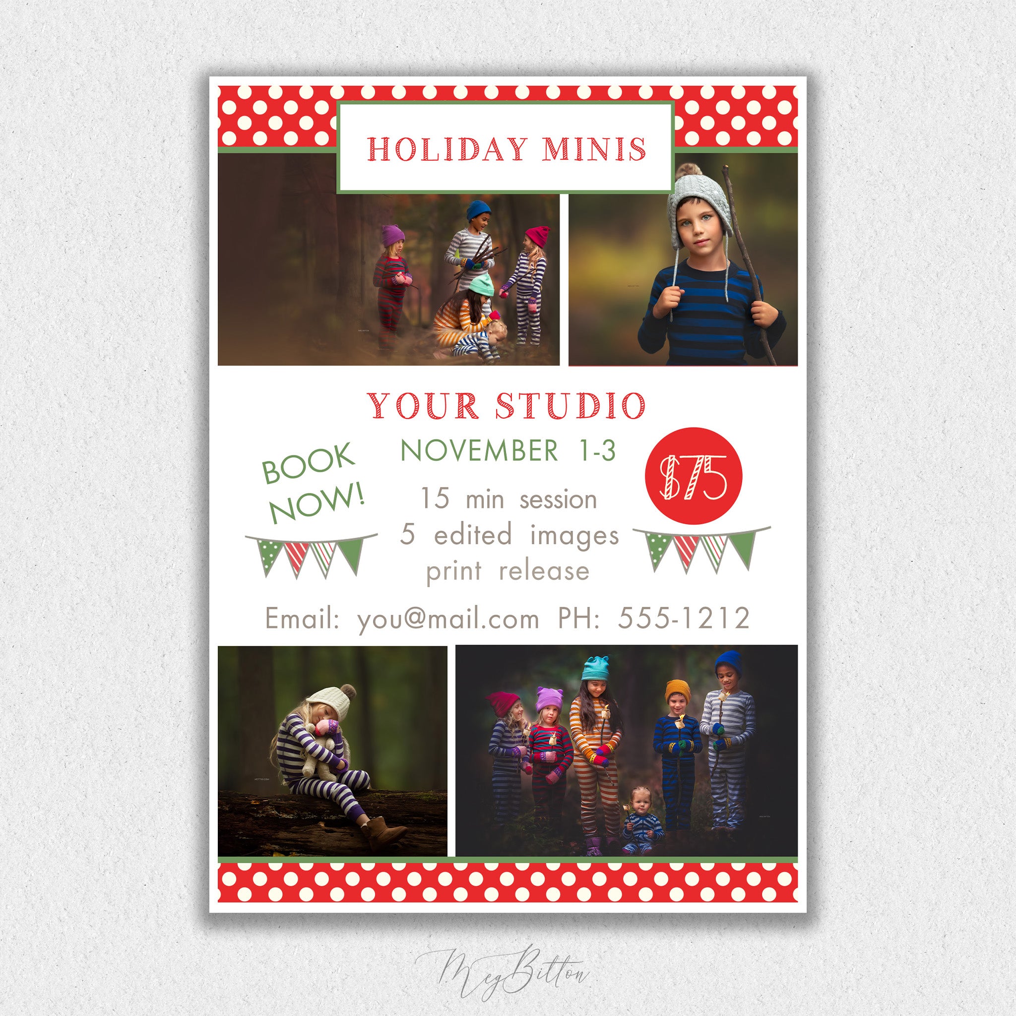 Holiday Mini Session Template #2