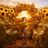 Autumn Sunflowers Bundle - Meg Bitton Productions