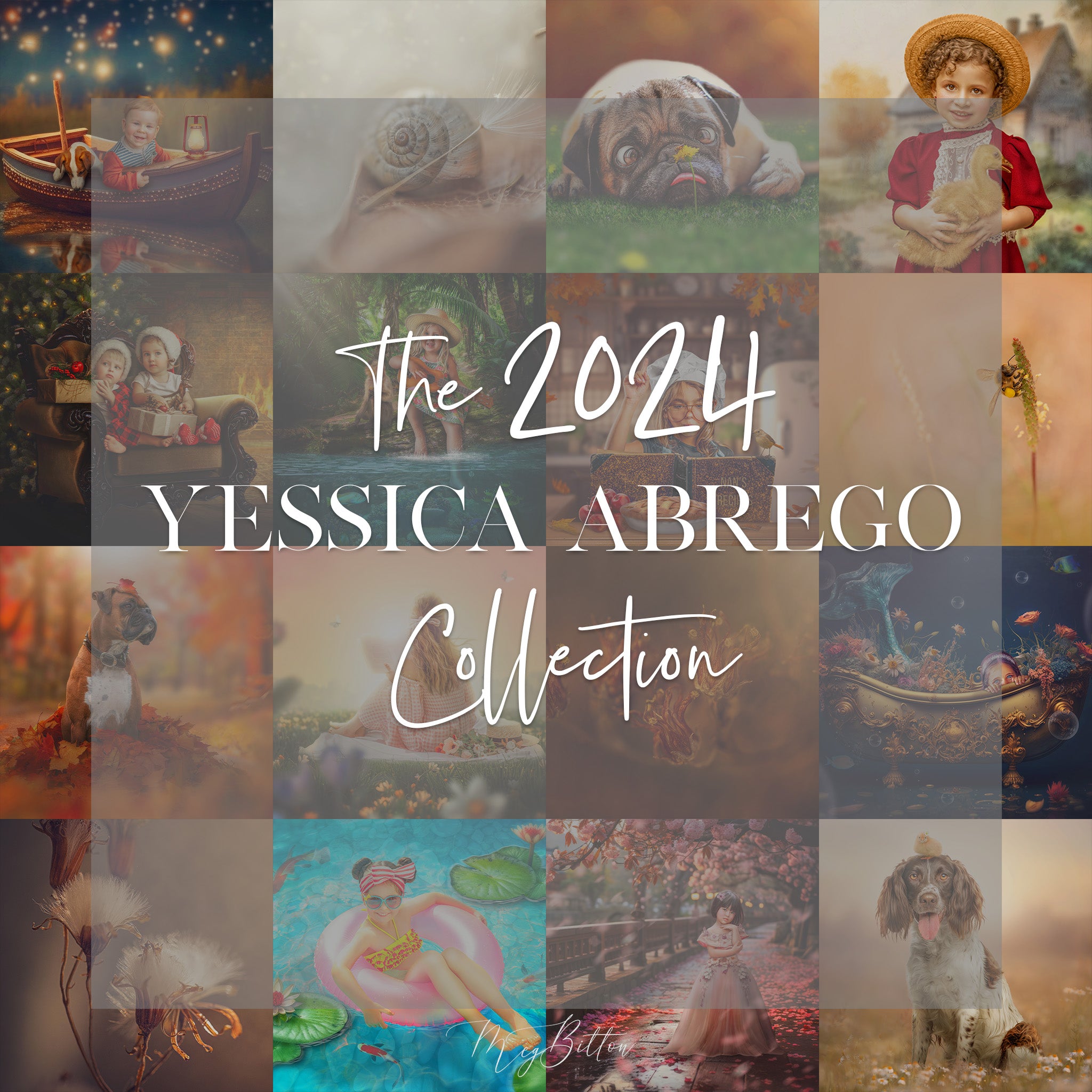 The 2024 Yessica Abrego Collection