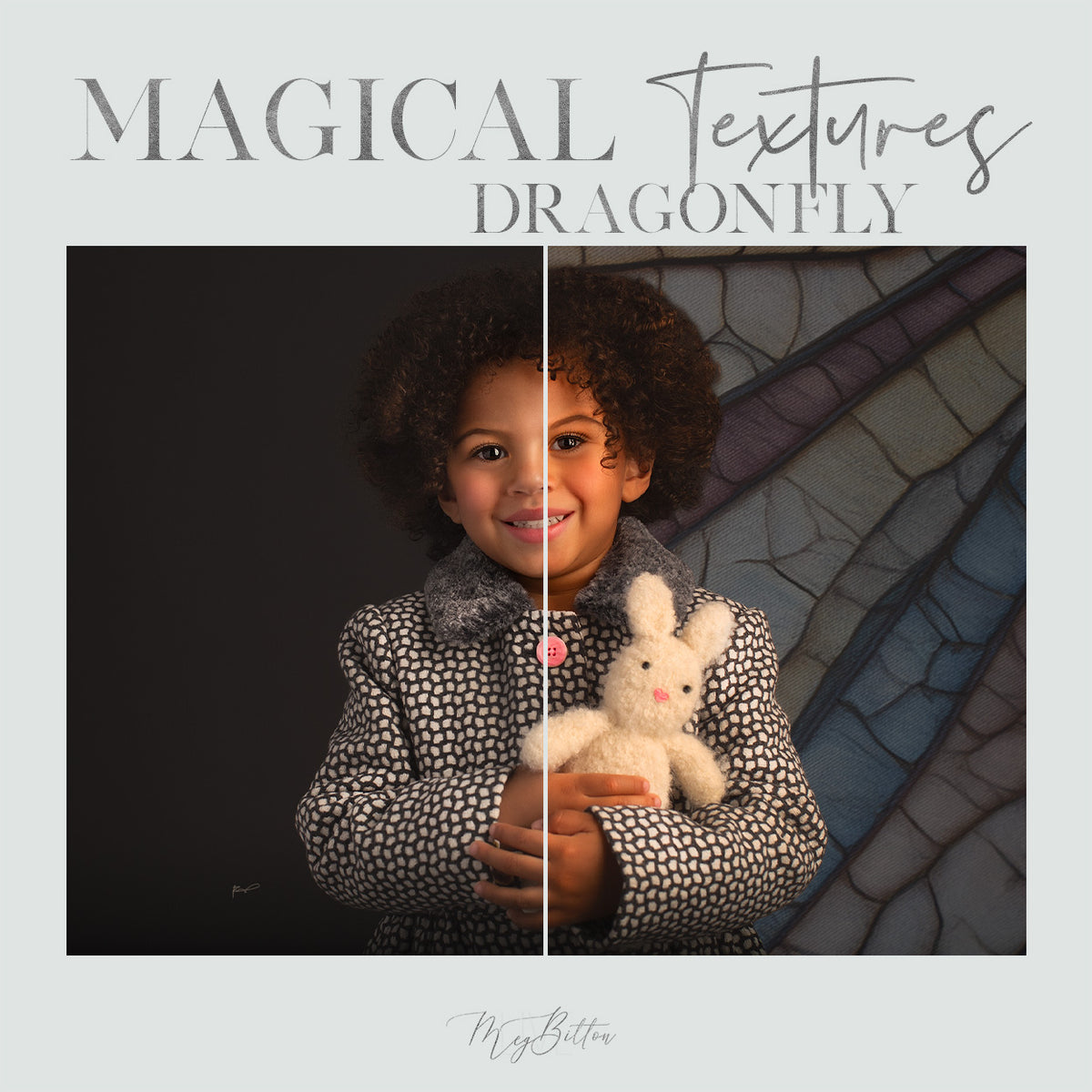Magical Dragonfly Textures