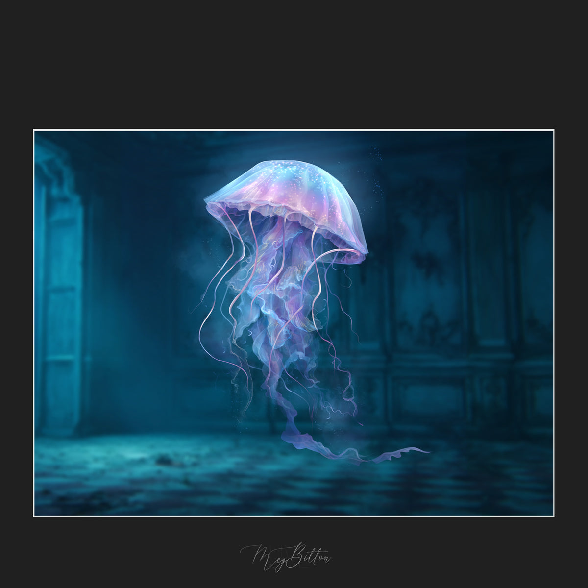 Magical Jellyfish Overlays