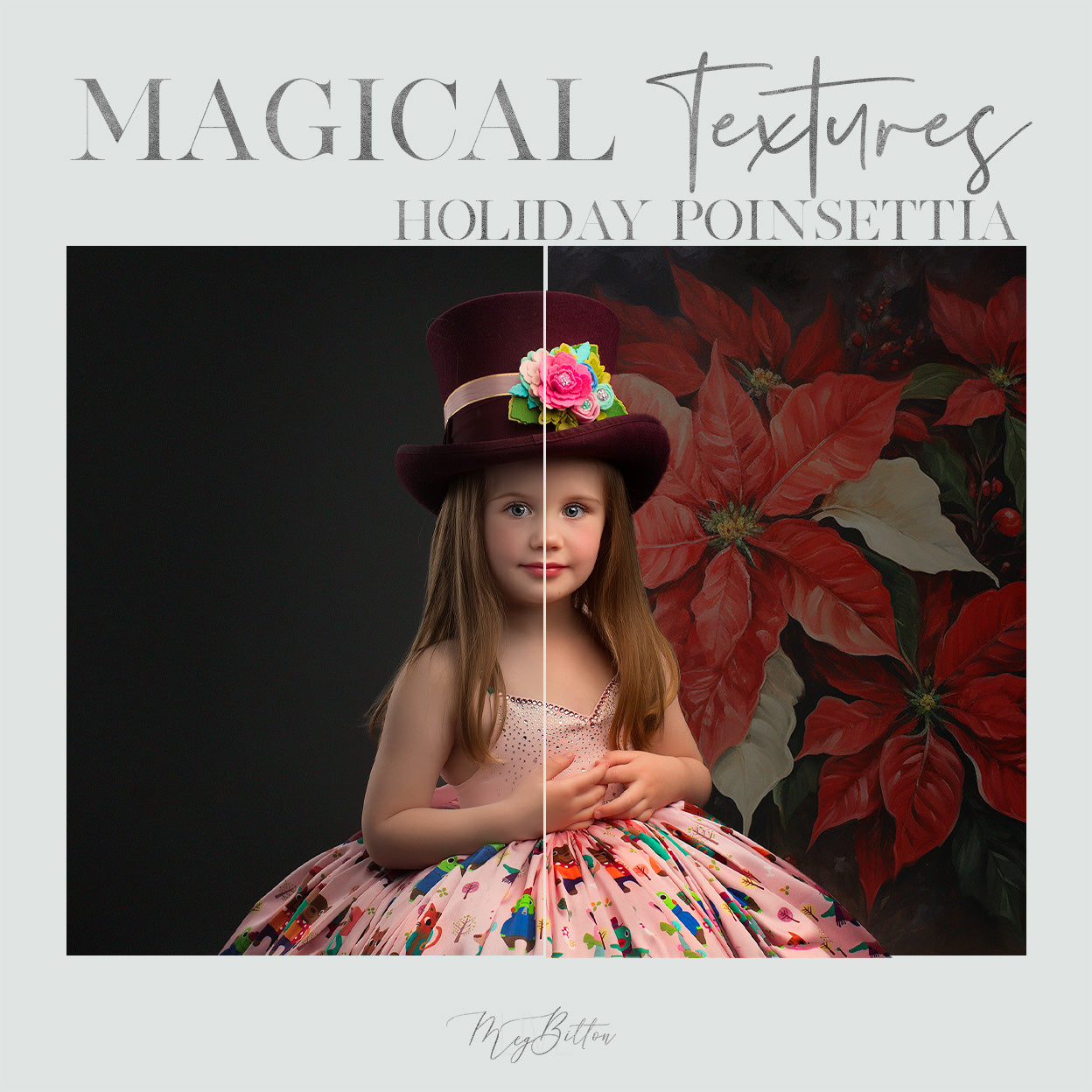 Magical Holiday Poinsettia Textures