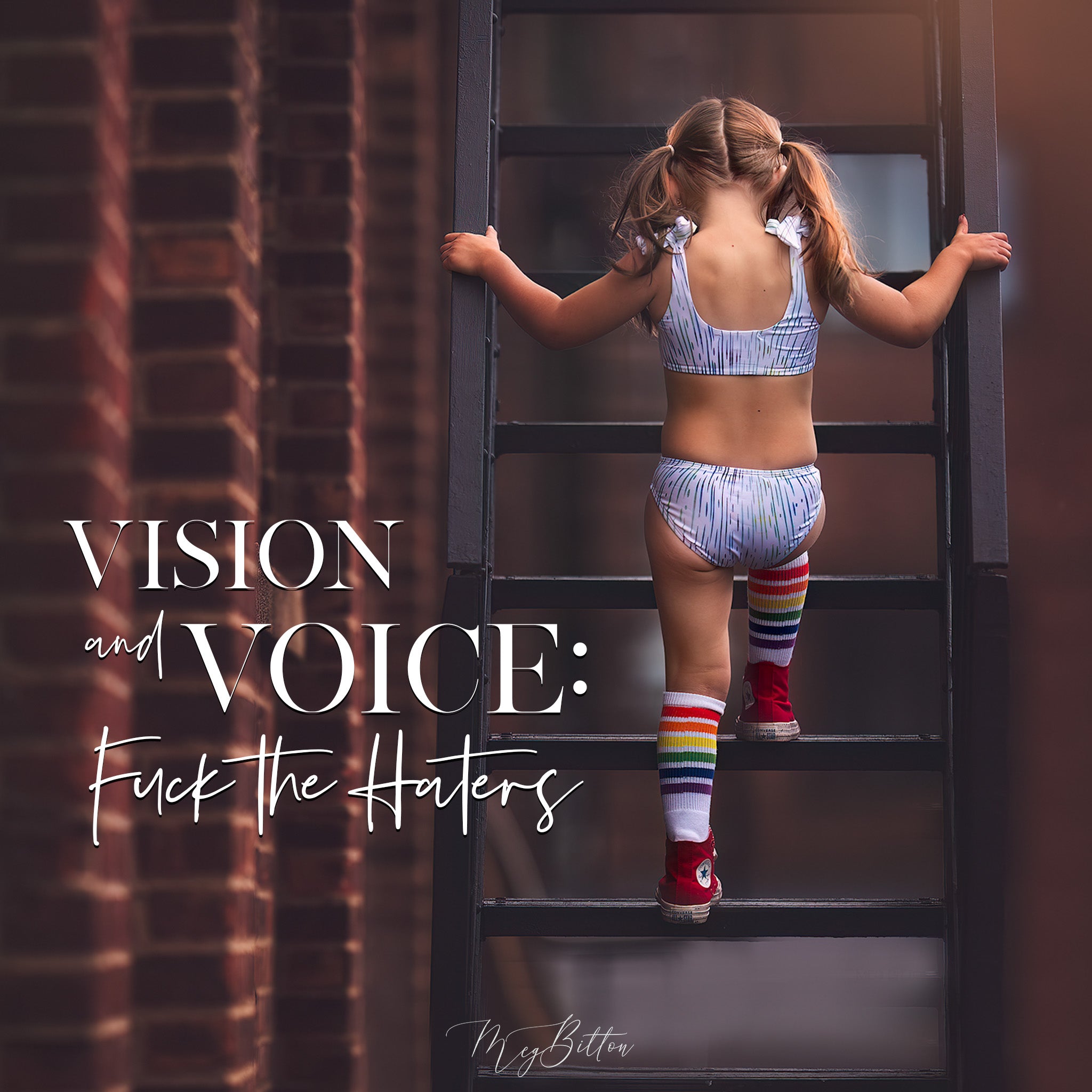 Vision and Voice: Fuck the Haters