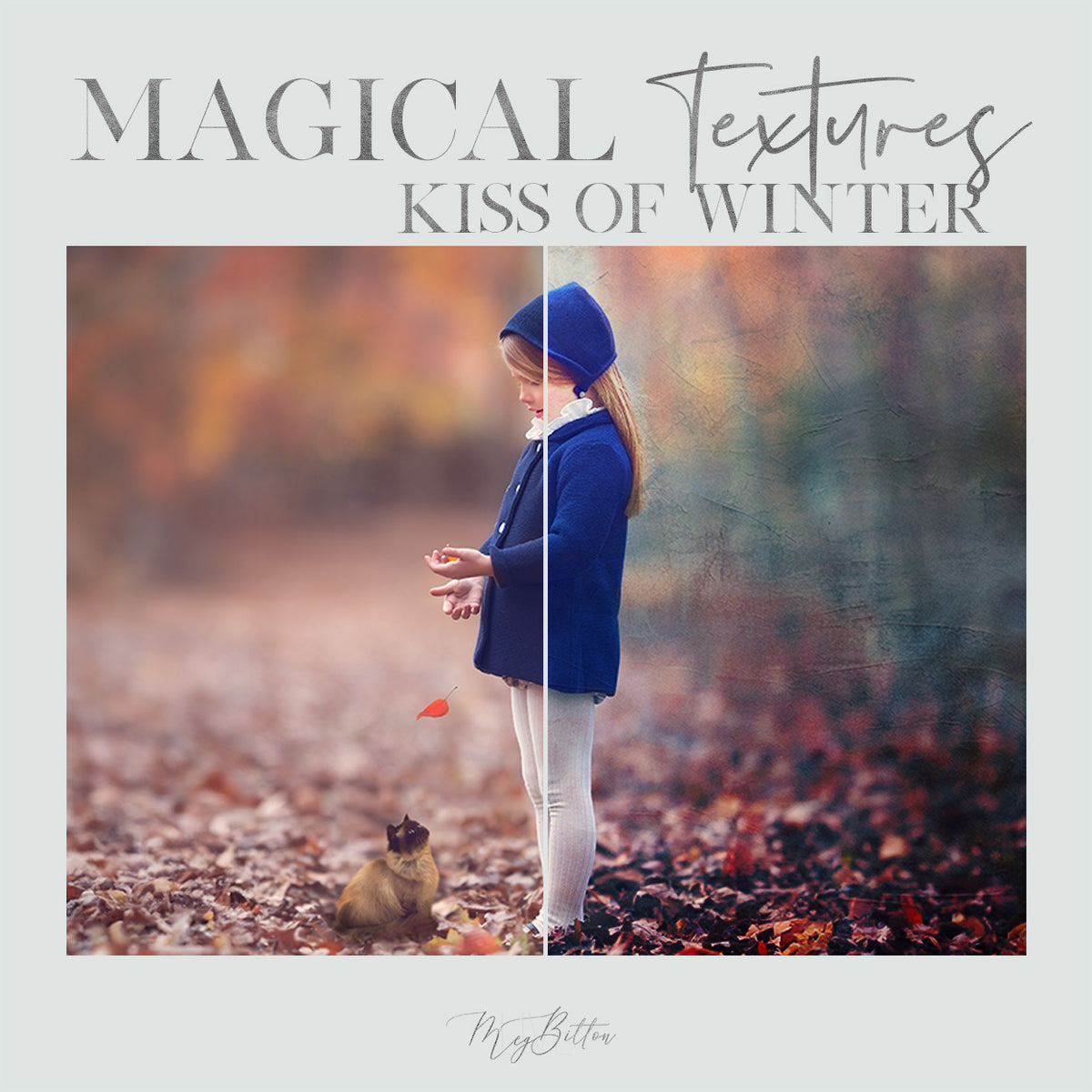 Kiss of Winter Textures - Meg Bitton Productions