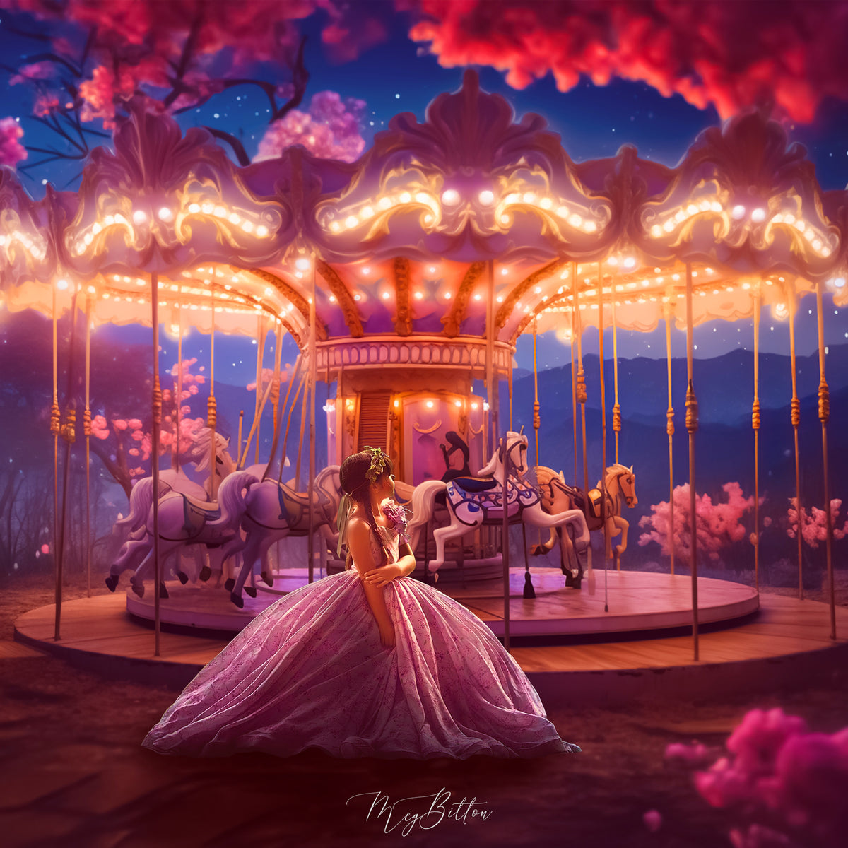 Whimsical Carousel Bundle – Meg Bitton Productions