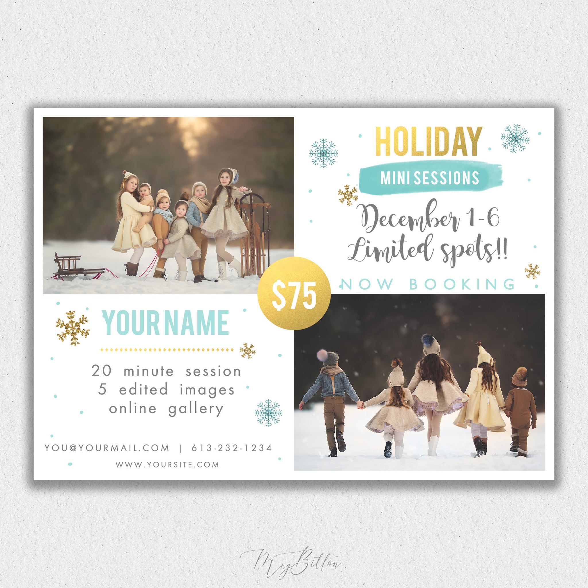 Holiday Mini Session Template #13