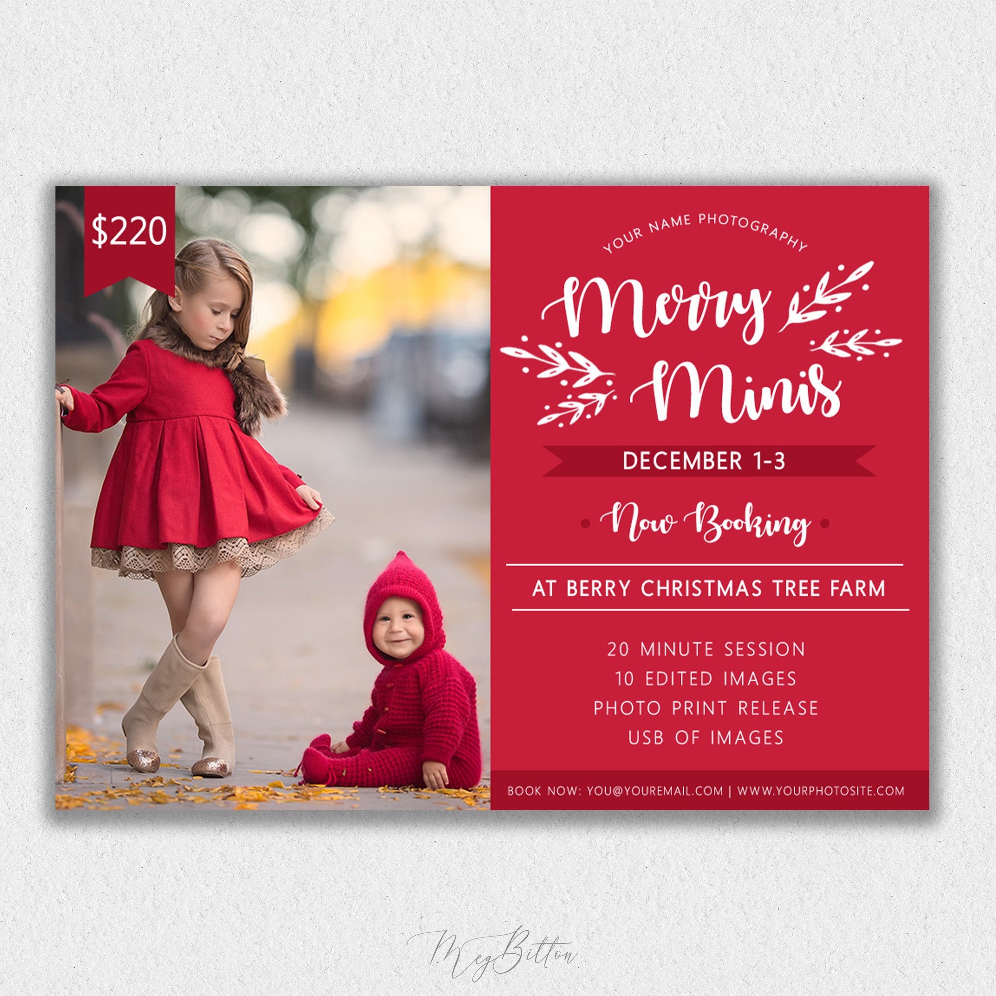 Holiday Mini Session Template #7