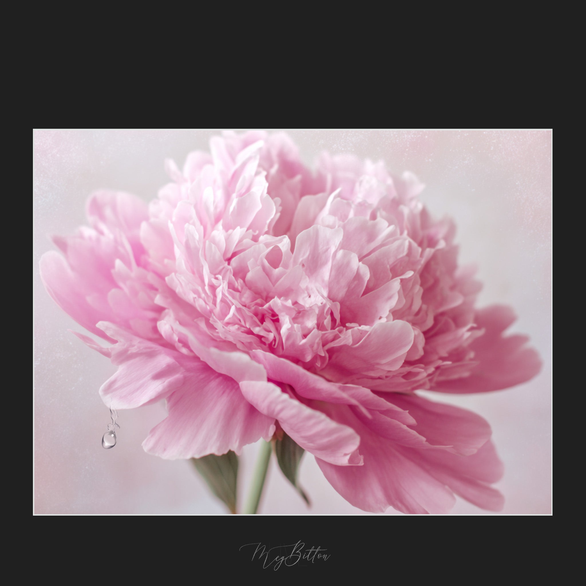 Magical Water Droplet Overlays