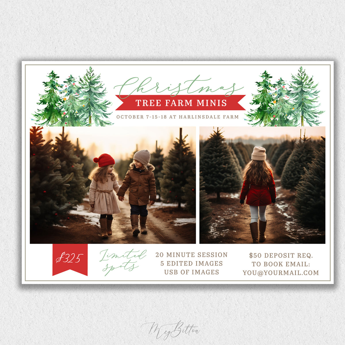 Holiday Tree Farm Mini Session Template