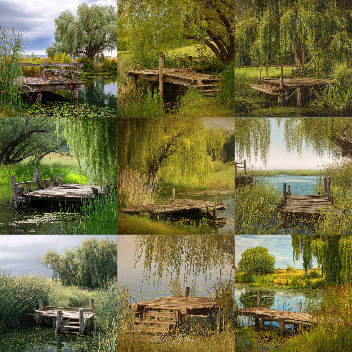 On the Dock Background Bundle