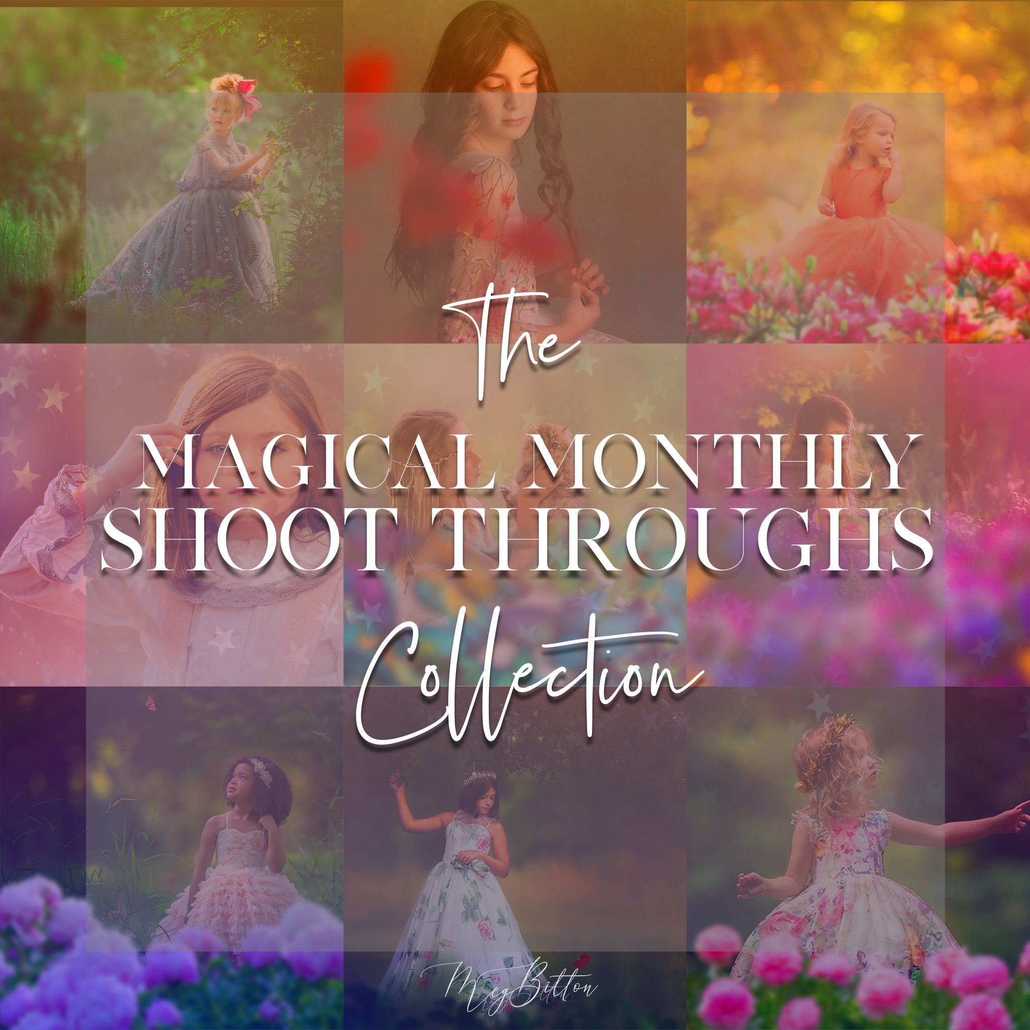 Magical Monthly Shoot Throughs Collection 2024