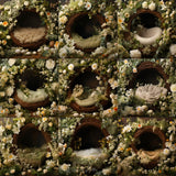 Easter Newborn Basket Background Bundle