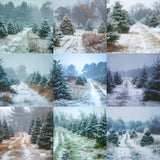 Ultimate Tree Farm Paths Background Bundle