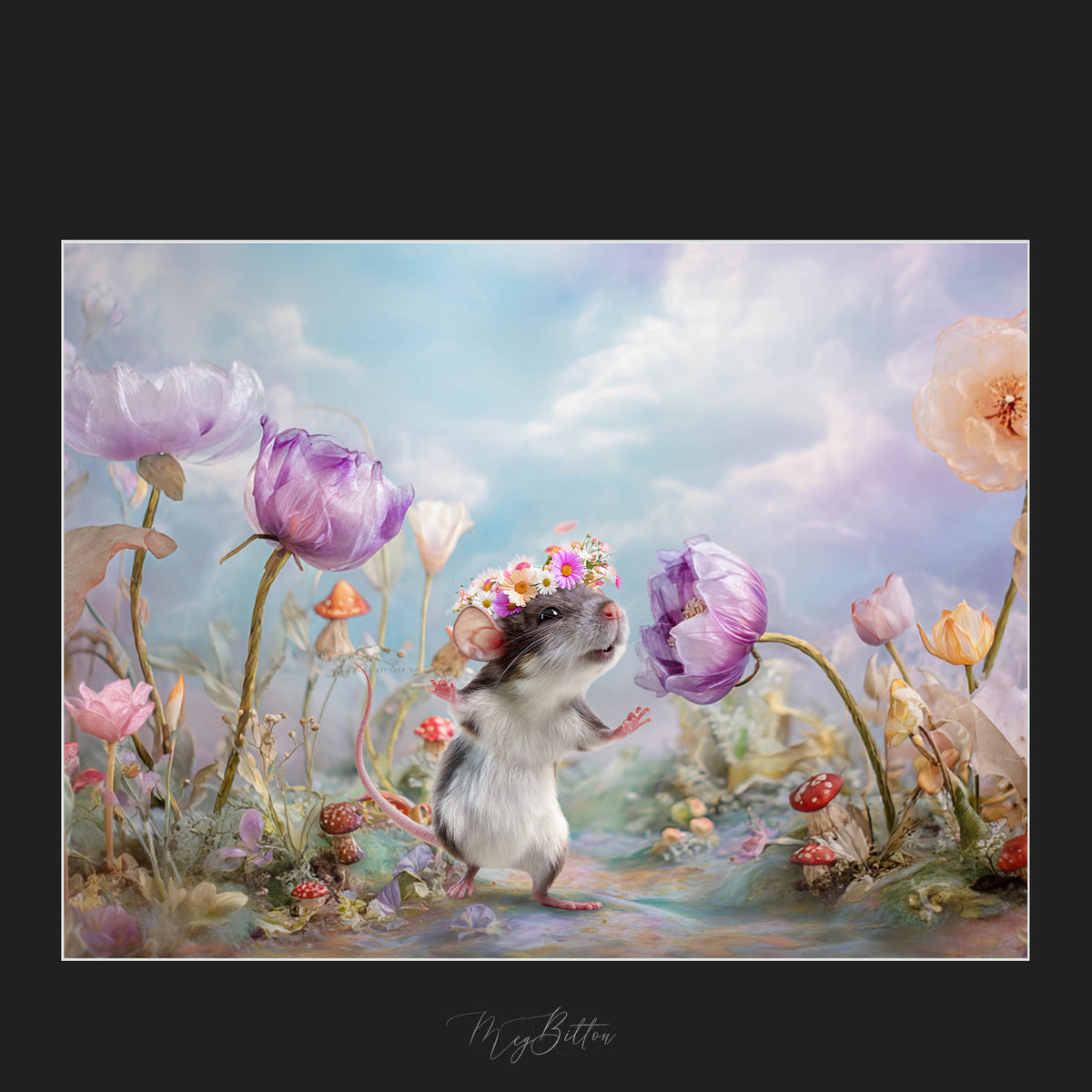 Magical Dancing Mouse Overlays