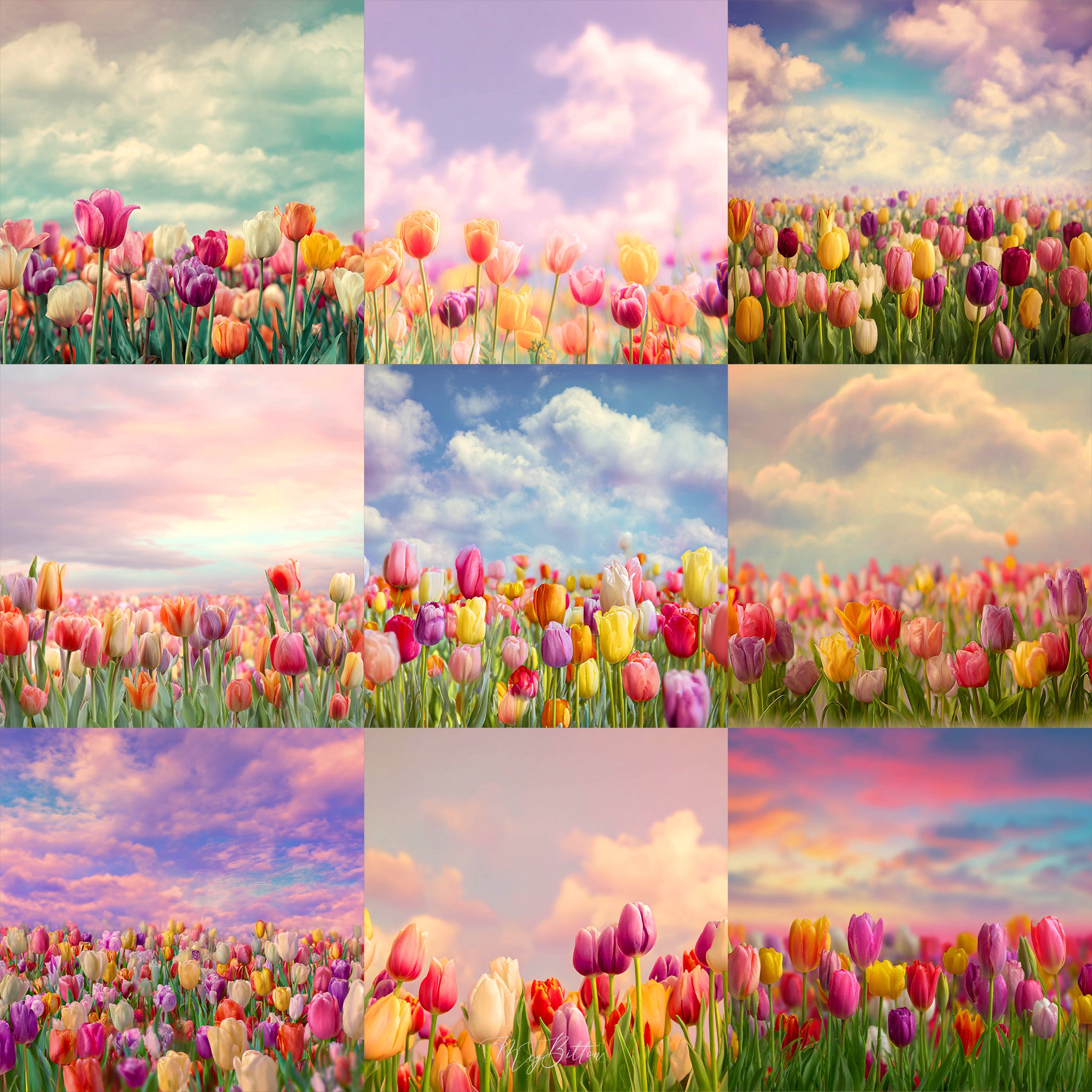 Tulip Whimsy Background Bundle