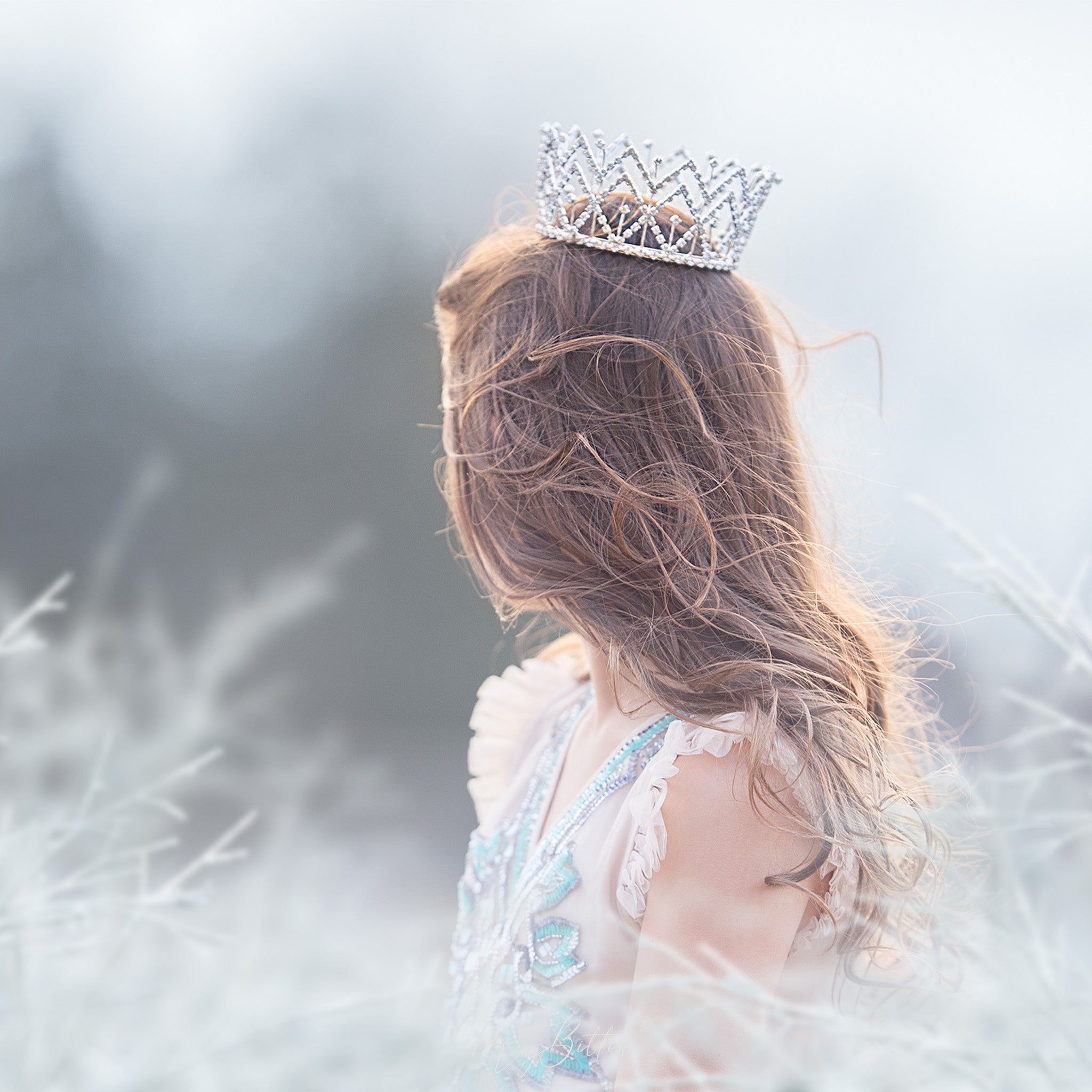 Magical Frosty Shoot Throughs Bundle