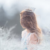 Magical Frosty Shoot Throughs Bundle