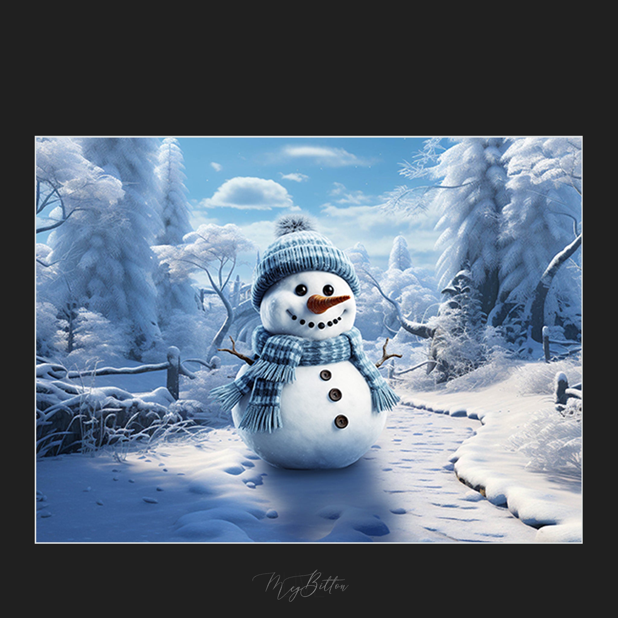 Whimsical Snowman Overlays