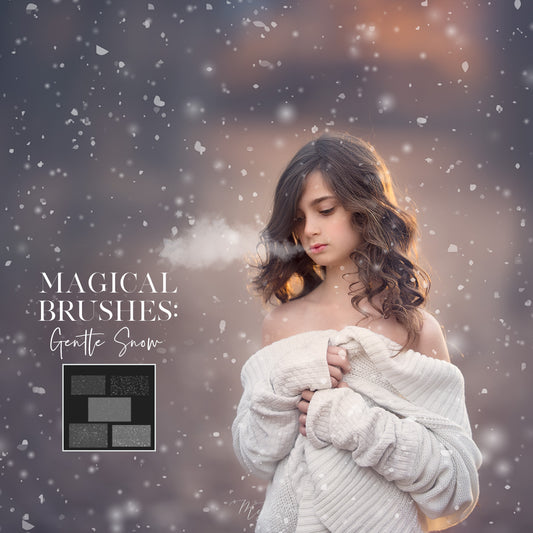Magical Gentle Snow Brushes - Meg Bitton Productions