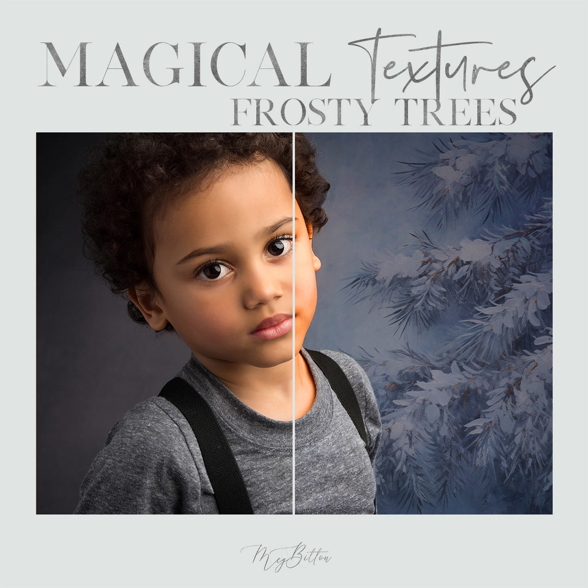 Magical Frosty Trees Textures