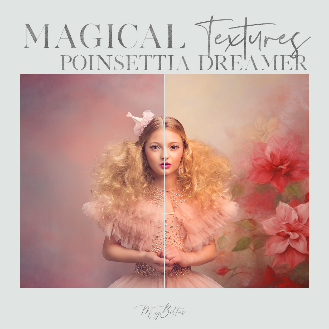 Magical Poinsettia Dreamer Textures