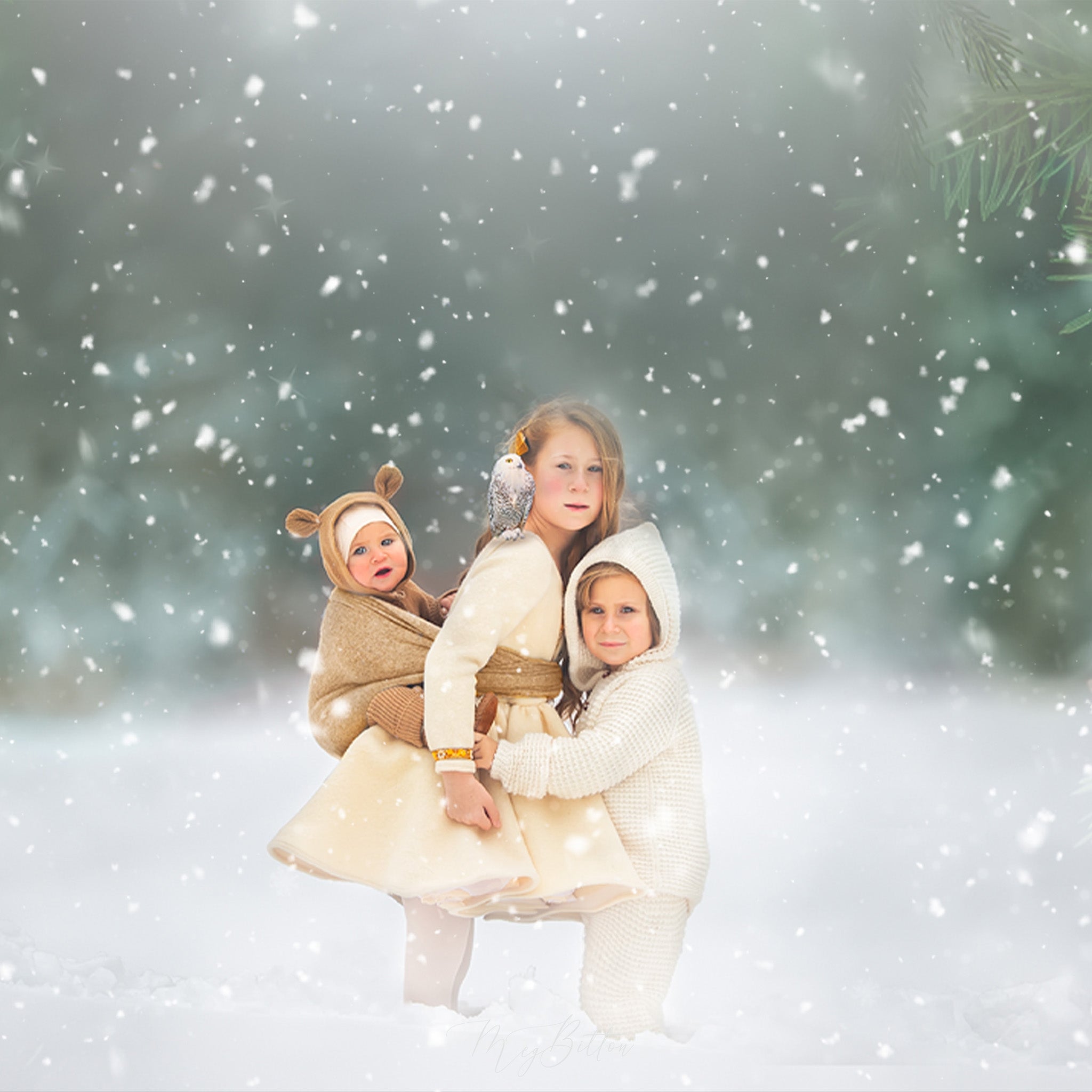 Magical Moving Snow Overlays