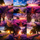 Ultimate Lavender Paths Background Bundle