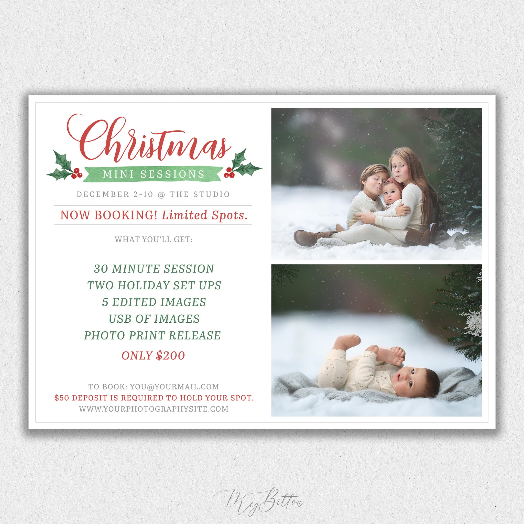 Christmas Mini Session Template #2