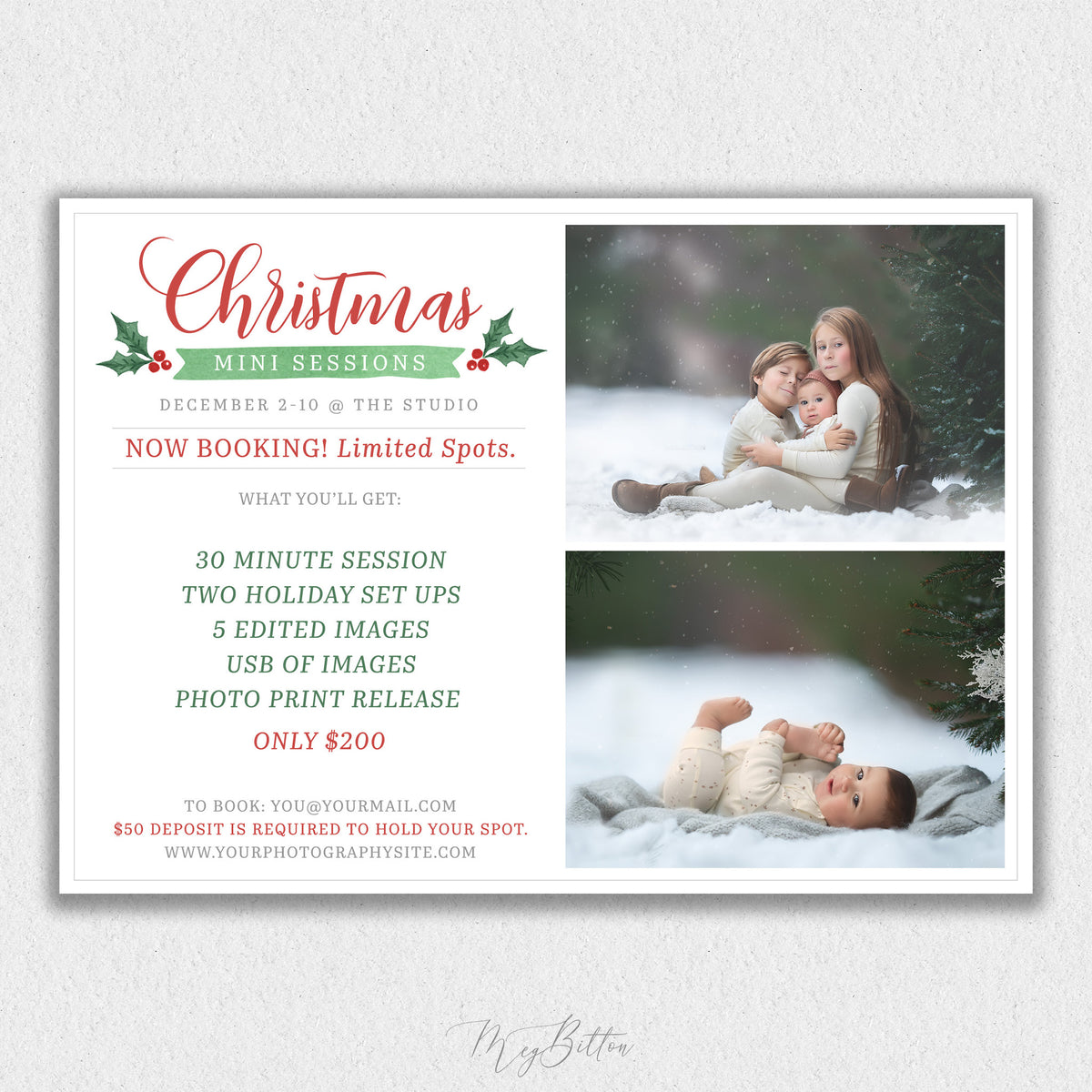 Christmas Mini Session Template #2