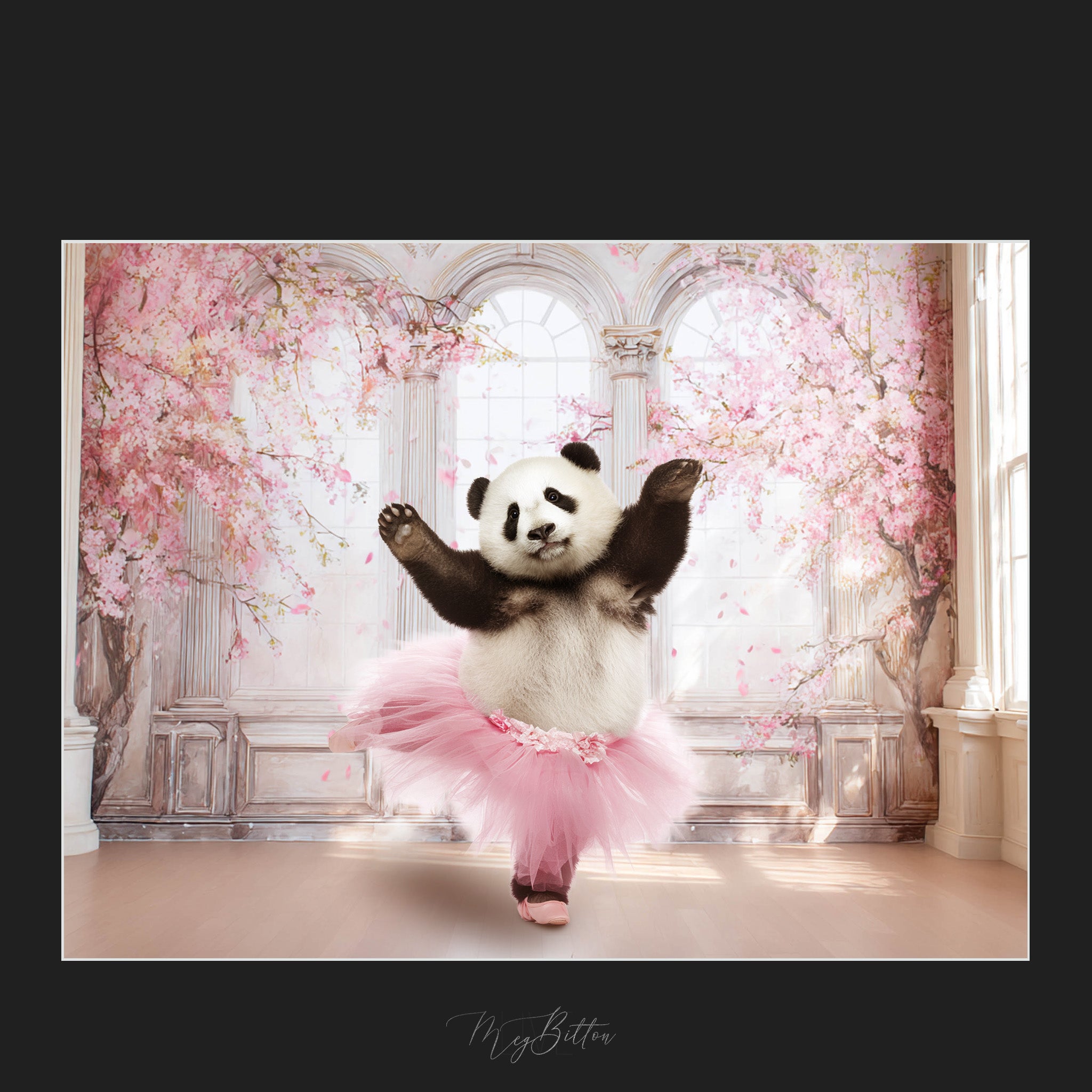 Magical Panda Ballerina Overlays